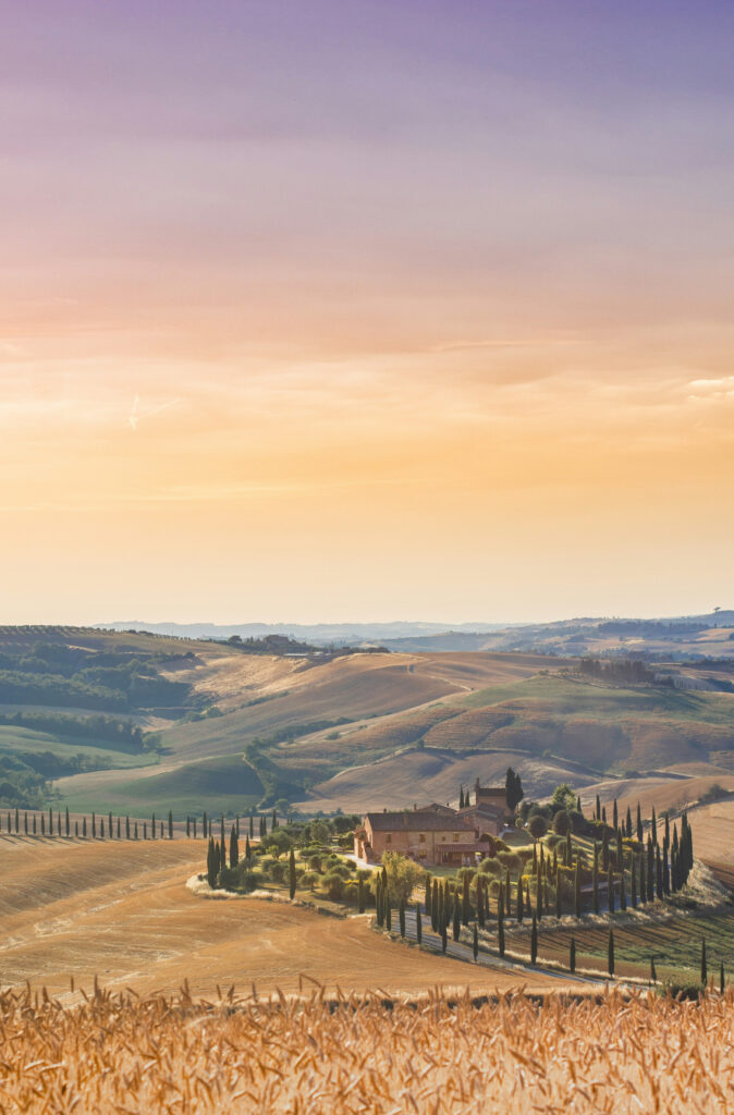 Immagine in evidenza di Hello World